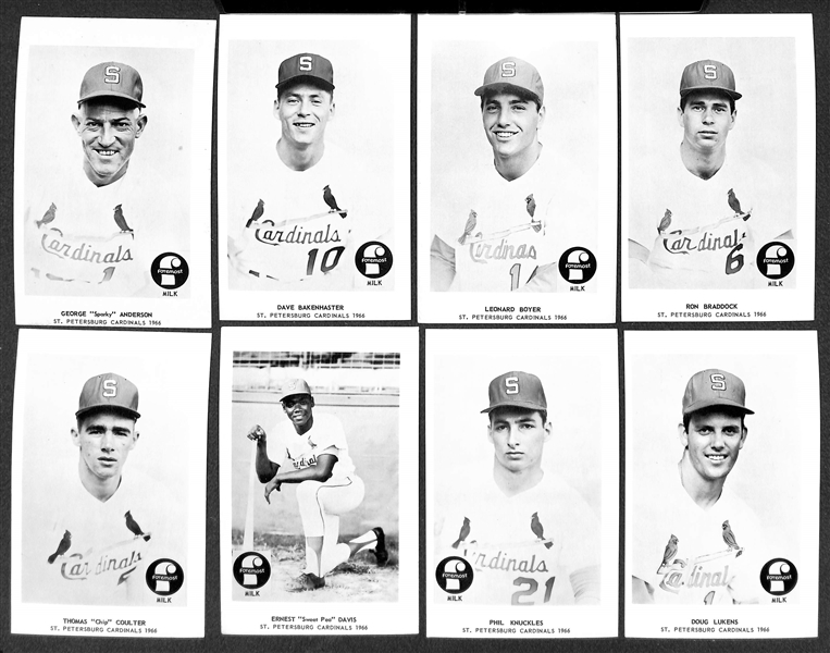 Very Rare 1966 St. Petersburg Cardinals (Class A) Foremost Milk 3.5 x 5.5 Photo Cards - Set of 20 w/ Sparky Anderson & More